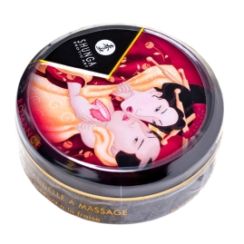 Набор Shunga Geisha's Secret